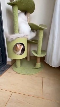 Муж пришел от друзей ночью