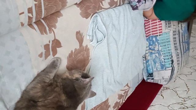 VLOG | ТУШУ КАПУСТУ | МЕРЯЕМ ДАВЛЕНИЕ | СНОВА ПОРВАЛСЯ ШЛ? смотреть онлайн