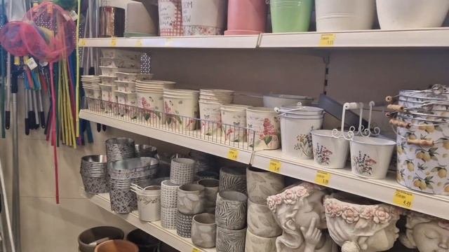 Шок цены на розы 🌹 магазин Thomas Philipps в Германии #комнат