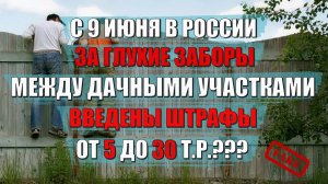 С 9 июня в России за глухие заборы между дачными участками введены штрафы до 30 т.р. Это правда?