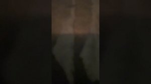 Домофон Страж-К. Замена 😖