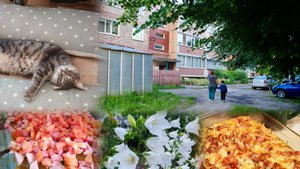 Тихая и спокойная деревенская жизнь, деревенские уютные будни, дождь в деревне