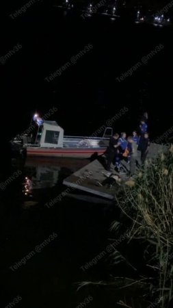 СИГАНУЛ С МОСТА: мужчина в неадекватном состоянии спрыгнул с моста в Воронеже. Из воды его достали.