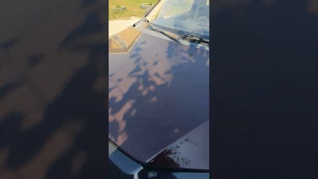 продаю гранта 2012 Самара смотреть онлайн