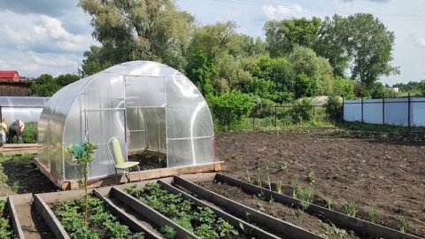 12ИЮНЯ РАБОТАЛИ В ОГОРОДЕ/ЖАРИЛИ ШАШЛЫКИ🍗