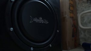 НИКОМУ не даст УСНУТЬ! Сабвуфер DL Audio Barracuda 12 Flat