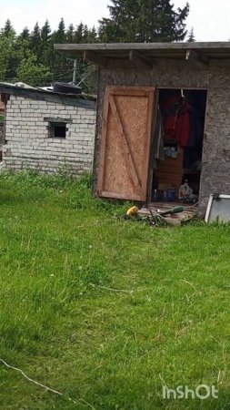 ТРАВА РАСТЁТ КАК НА ДРОЖЖАХ.ВСЁ ТОЛЬКО КОСИМ.