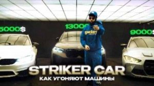 Тачки за КОПЕЙКИ!!! Как и Зачем Угоняют Машины  Striker Car, Vin Swap