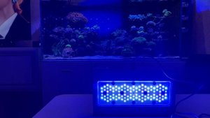 А8 Обзор морского светильника