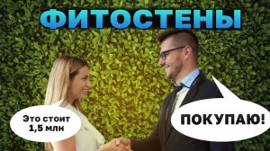 Фитостены: как заработать от 150 тыс. до 1,5 млн в цветочном магазине