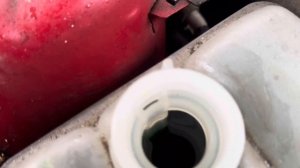 Разборка Mazda-3 (BK) 2003-2009, 1,6 (VIN:JMZBK12Z201181339)    YH54BZX