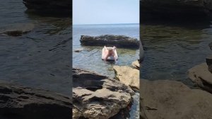 Отдых на море 2025г. Вторая серия.
