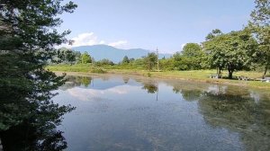 Абхазия Цитрусовый совхоз Экскурсии Цены Что нового Пирс 13 июня 2025 г.