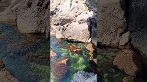 ЛАЗУРНОЕ МОРЕ 😍