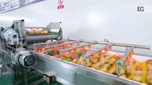 Ленточный пресс для производства соков прямого отжим?