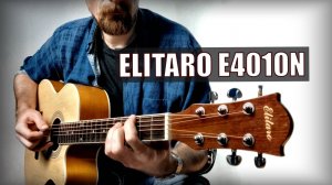 Акустическая гитара Elitaro E4010 N