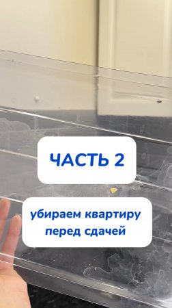 Артикул пасты на  WB #234577722