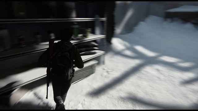 The Last of Us Part 2-2