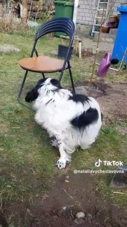 Умка - помощник...)))