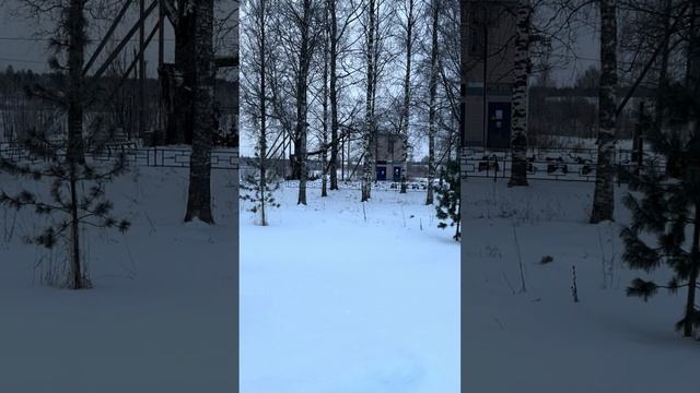 Фрагменты экскурсии. Свято-Троицкий Александро-Свирс? смотреть онлайн