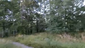 Смирных футбольное поле и старая школа