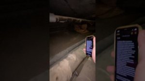 Все нарушения в подвале. Короткая версия