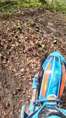 Превью к видео .Небугзберг 2025. Класс Золото. Второй день. ТОЛКАЙ ИЛИ УМРИ!