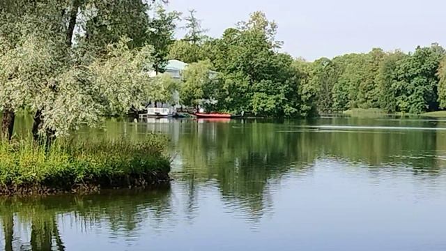 Гондола появилась... Пушкин, август 2023 смотреть онлайн