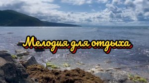 Мелодия для отдыха, красивая инструментальная музыка