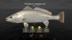 РАЗДАЧА РЕДКИХ ВИДОВ НА 34 БАНКЕ НА МОРЕ И ОТЛИЧНЫЙ ФАРМ НА МЕДНОМ В РУССКОЙ РЫБАЛКЕ 4 РР4