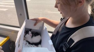 Встреча на Ильменке