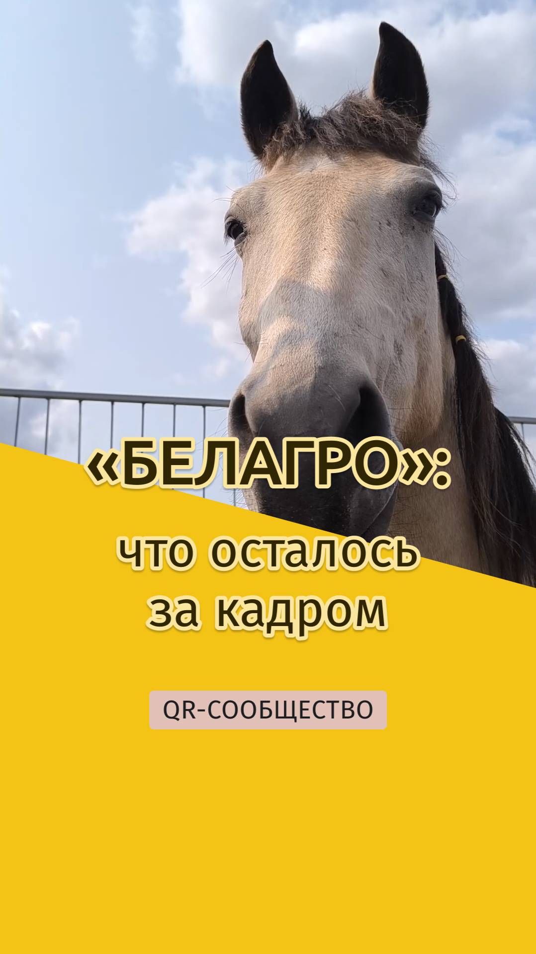 QR-gid.BY | «БЕЛАГРО»: что осталось за кадром