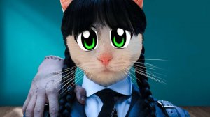 СМОТРИМ ВАШИ МЕМЫ 2 ! КОШЕЧКА МУРКА СТАЛА ВЕНСДЭЙ ! ПРИКОЛЫ ОТ ПОДПИСЧИКОВ А ну-ка Давай-ка