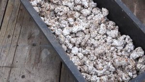 Боверия - почти бесплатный биопрепарат для борьбы с вр