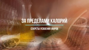 🔥 ЗА ПРЕДЕЛАМИ КАЛОРИЙ: СЕКРЕТЫ УСВОЕНИЯ ЖИРОВ 🔥