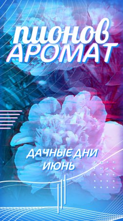 На даче распустились пионы🌸🌺