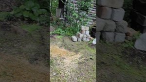 Жуткий заброшенный дом 🏚️ 😨😨😨😨😨