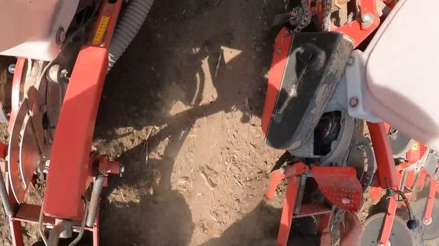 Такий чудовий соняшник 🌻 ми ще не сіяли. МТЗ-80 + УПС-8 Ч? смотреть онлайн