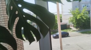 VID_20250613_114528.mp4