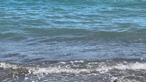 Ялта. Приморский пляж. Любимое синее море... Цветение. 28.05.2025. Крым. Crimea. Yalta.