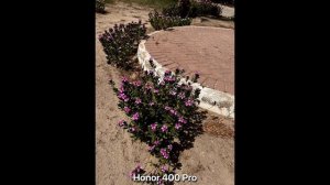 Xiaomi 15s Pro vs Honor 400 Pro - сравнение камер в реальной жизни