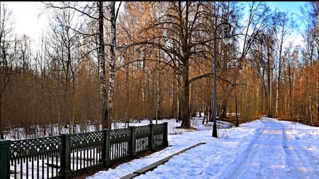 ПРОШЁЛ ЕЩЁ ОДИН ГОД... Фото Анатолия ШИТОВА СПб музы