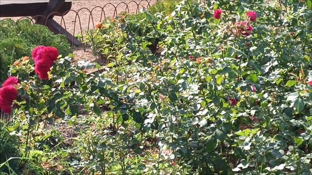 ДРУЗЬЯ ♥️ ВСЕМ ДОБРОГО УТРА 😊 И ХОРОШЕГО НАСТРОЕНИЯ смотреть онлайн