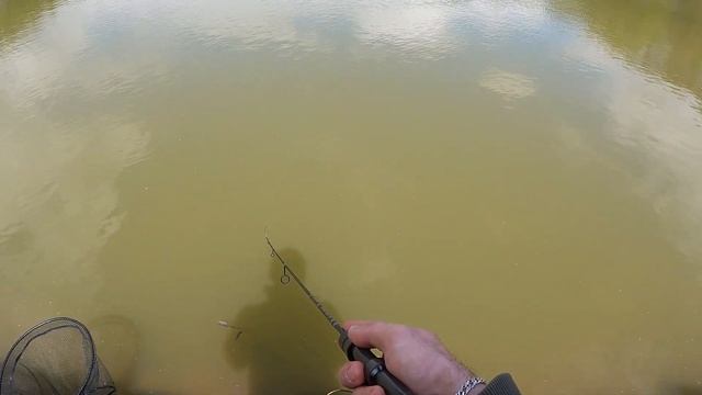 Мисайлово Trout. Секреты ловли форели