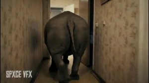 Бабушка и носорог бегемот булька барбулька