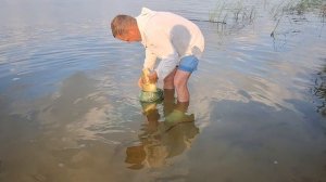 Ловим сазана 🐟 и отпускаем