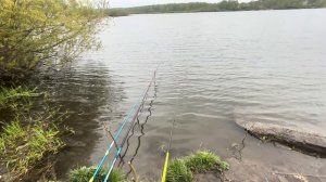 Озеро Чесноки Щука Кемерово 2025