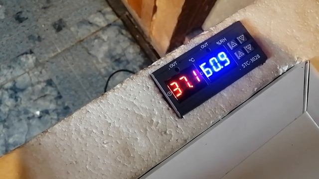 Три в одном- инкубатор, выводной шкаф и брудер. Первый ? смотреть онлайн