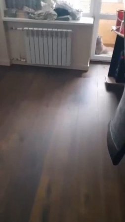 золушка 21 века