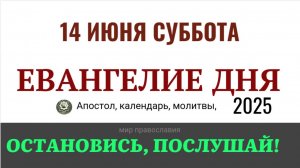 14 июня суббота Евангелие дня 2025 с толкованием